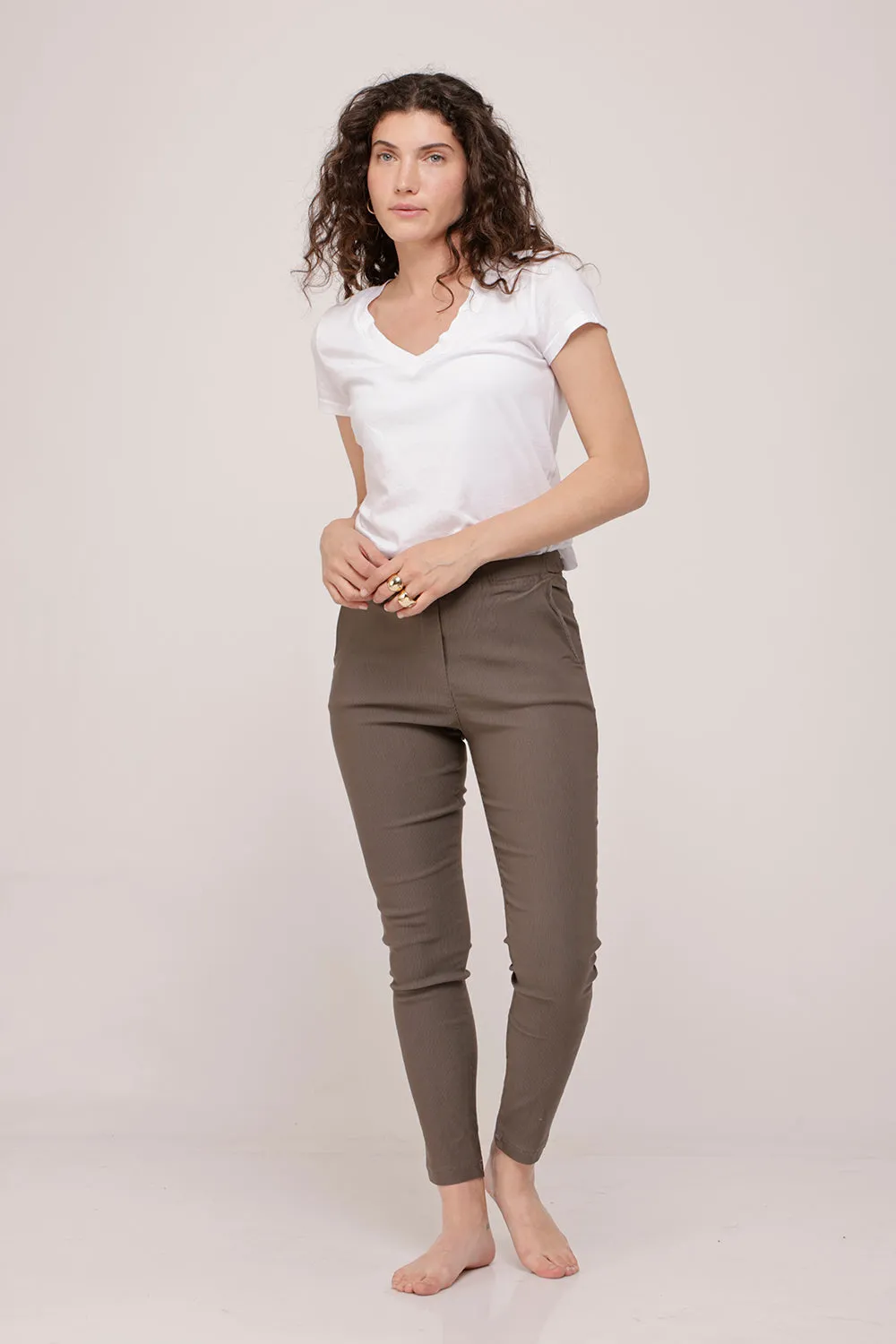 Classic Brown Stripes Pants