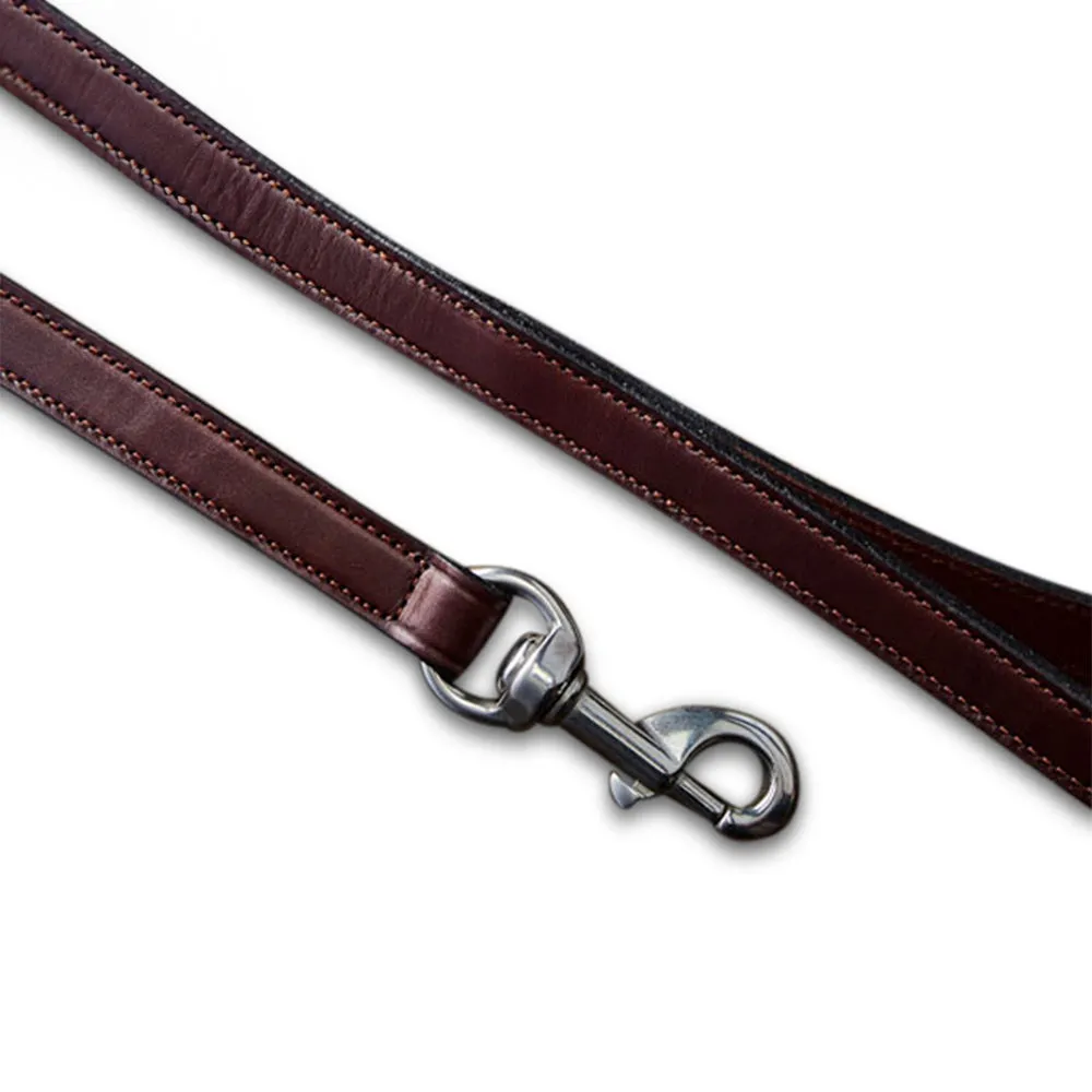 Old Reliable Leash