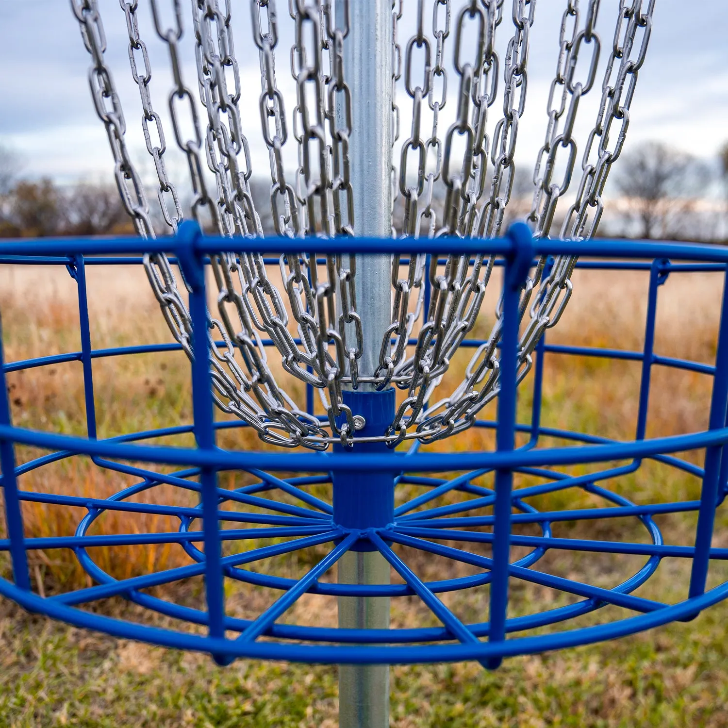Veteran Disc Golf Basket